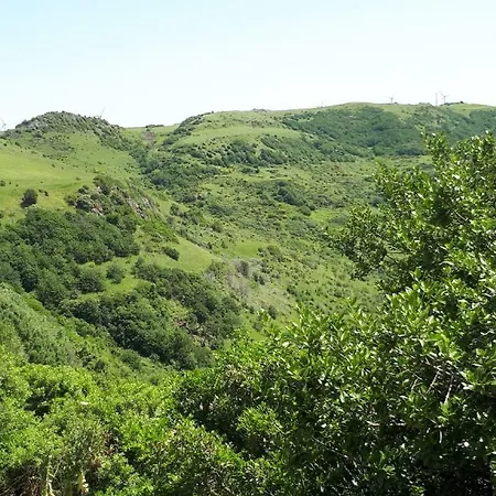 Su Pasciale Dom wakacyjny *